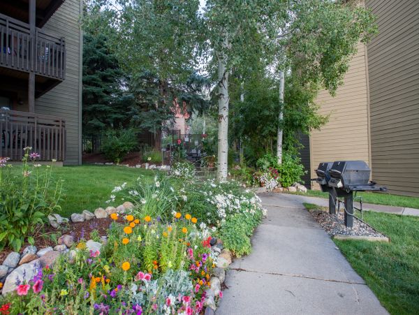 Steamboat Springs Condo 952417