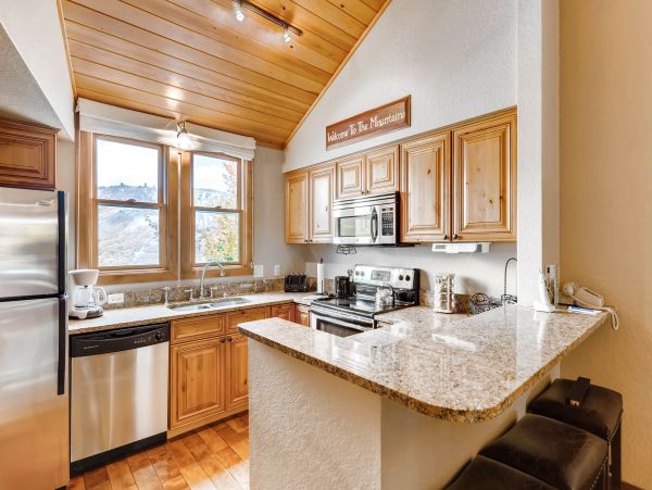 Snowmass Condo 952462