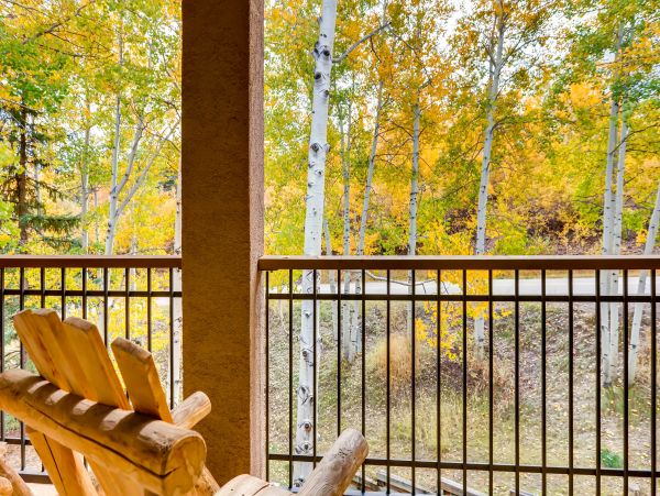 Snowmass Condo 952462
