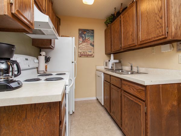 Steamboat Springs Condo 952465