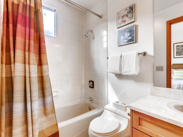 Snowmass Condo 952485