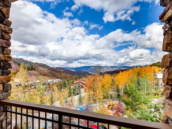Snowmass Condo 952485