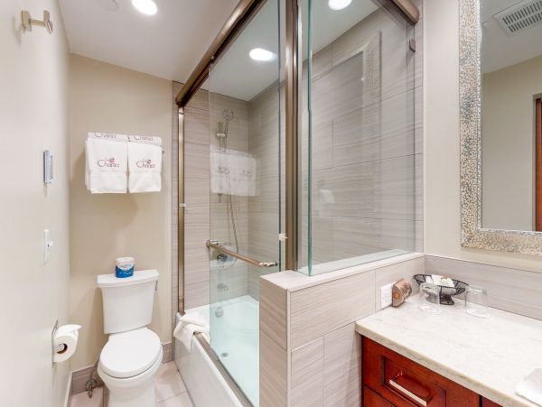 Beaver Creek Bachelor Gulch Condo 952489
