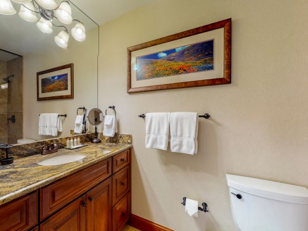Vail Lionshead Condo 952490