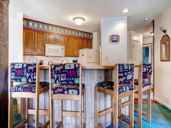 Steamboat Springs Condo 952498
