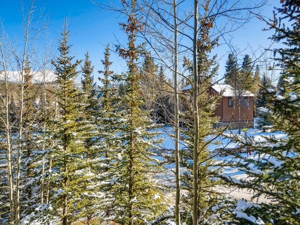 Breckenridge Condo 952501
