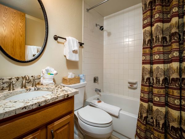 Steamboat Springs Condo 952513