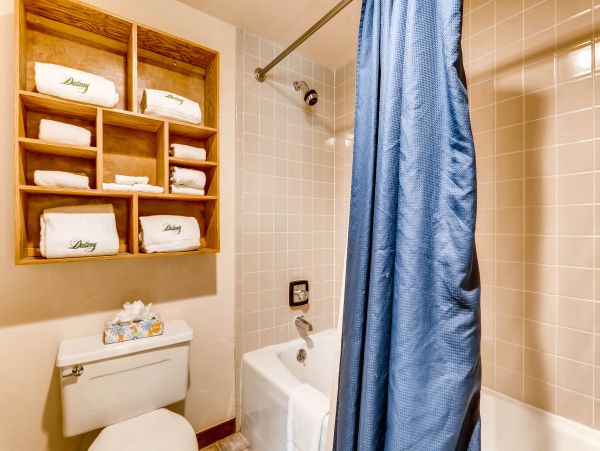 Steamboat Springs Condo 952529