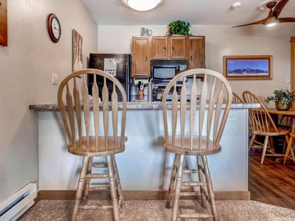 Steamboat Springs Condo 952545