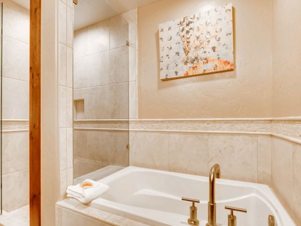 Breckenridge Condo 952550