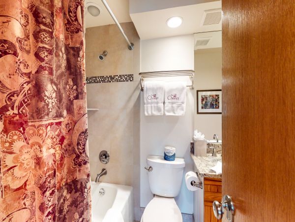 Beaver Creek Bachelor Gulch Condo 952560