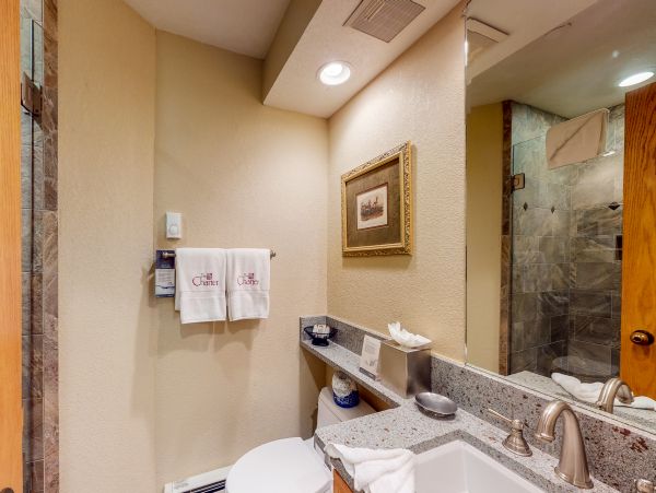 Beaver Creek Bachelor Gulch Condo 952571