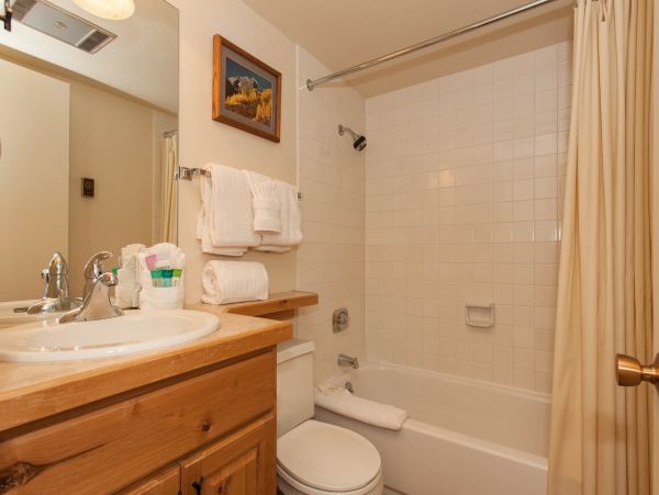 Steamboat Springs Condo 952575