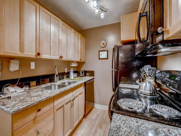 Steamboat Springs Condo 952587