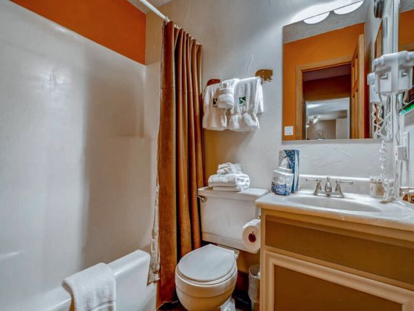 Steamboat Springs Condo 952587