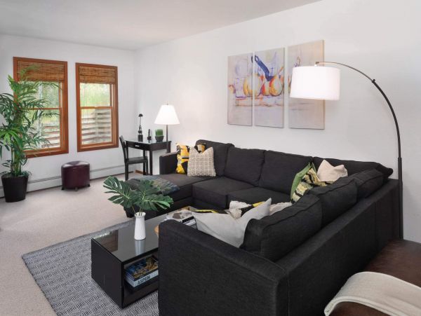 Snowmass Condo 952596