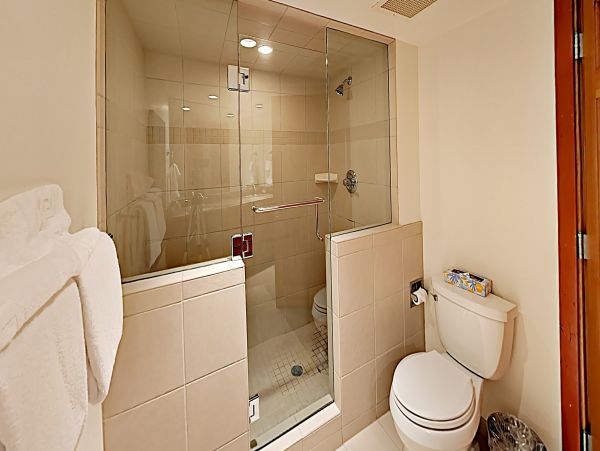 Snowmass Condo 952596