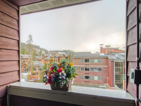 Breckenridge Condo 952599