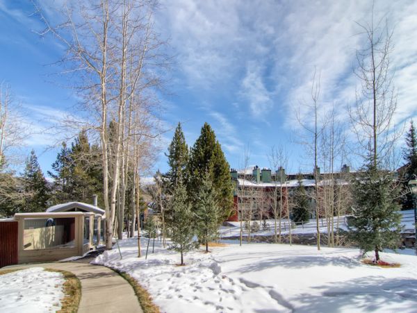 Breckenridge Condo 952599