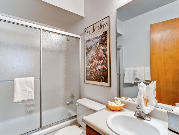 Breckenridge Condo 952599