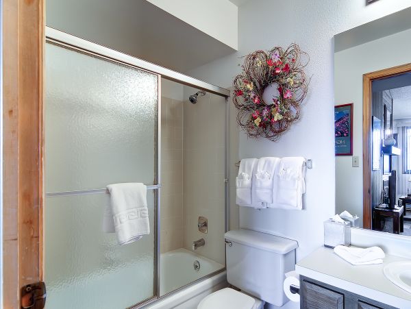 Breckenridge Condo 952599