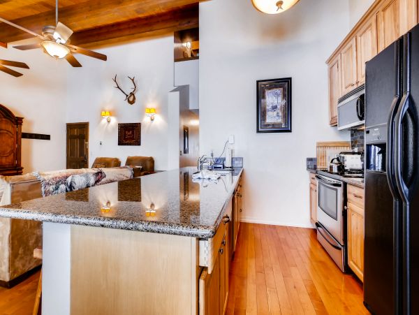 Steamboat Springs Condo 952611