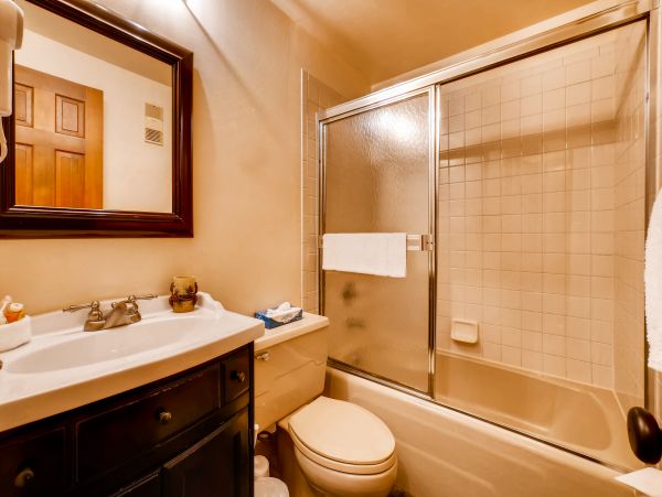 Steamboat Springs Condo 952611