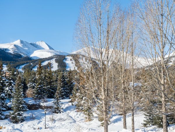 Breckenridge Home 952613