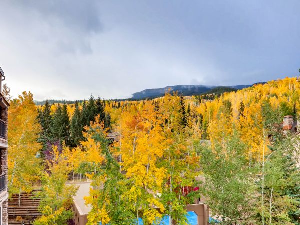 Snowmass Condo 952616