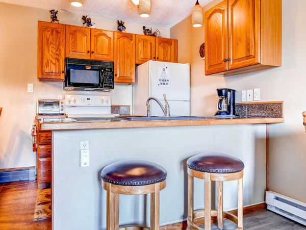 Steamboat Springs Condo 952630