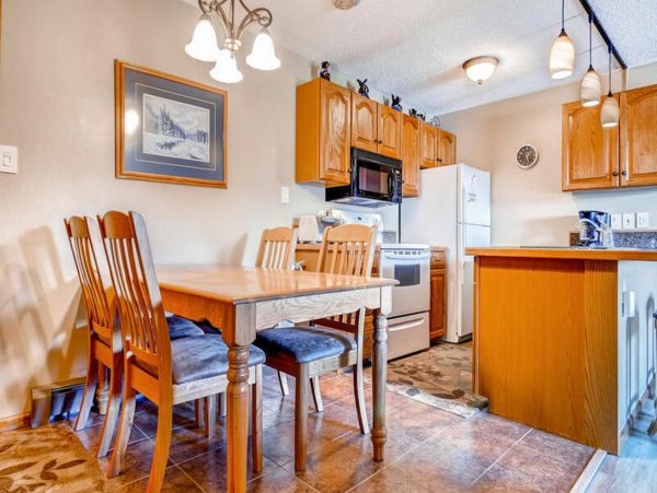 Steamboat Springs Condo 952630