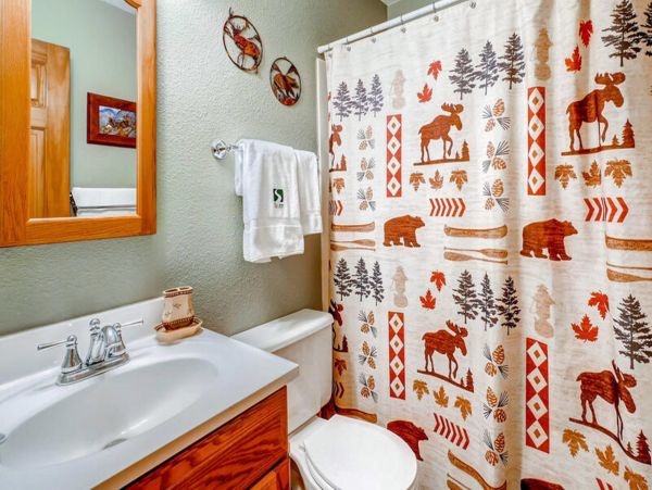 Steamboat Springs Condo 952630