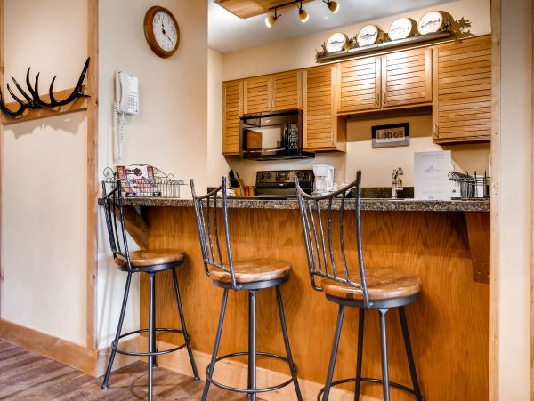 Steamboat Springs Condo 952635