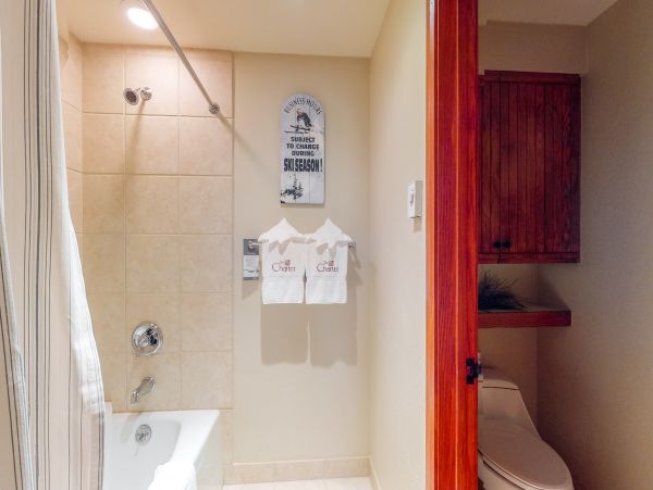 Beaver Creek Bachelor Gulch Condo 952652