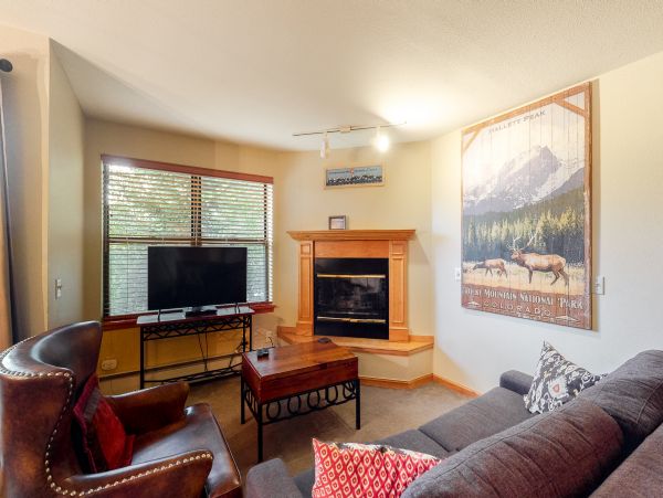 Breckenridge Condo 952667
