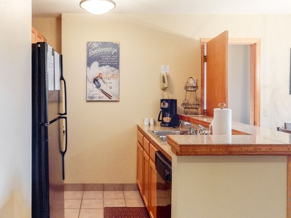Breckenridge Condo 952667