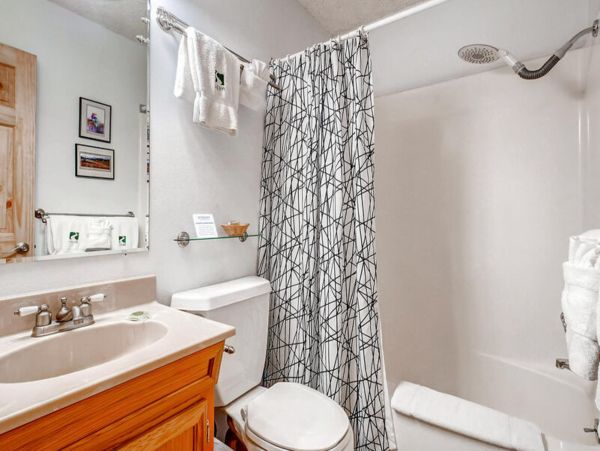 Steamboat Springs Condo 952676
