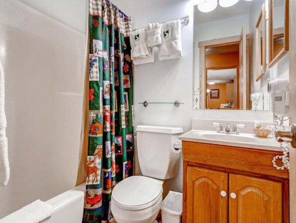 Steamboat Springs Condo 952676