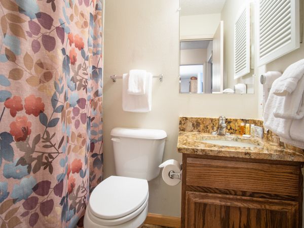 Steamboat Springs Condo 952682