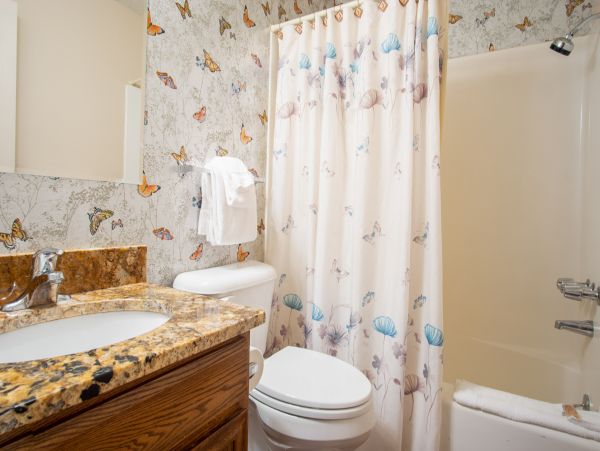 Steamboat Springs Condo 952682