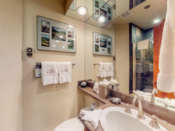Beaver Creek Bachelor Gulch Condo 952685