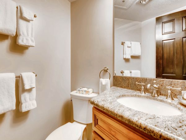 Snowmass Condo 952695