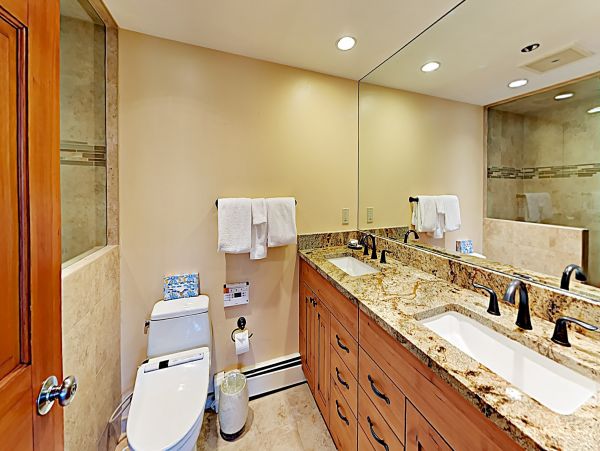 Snowmass Condo 952709