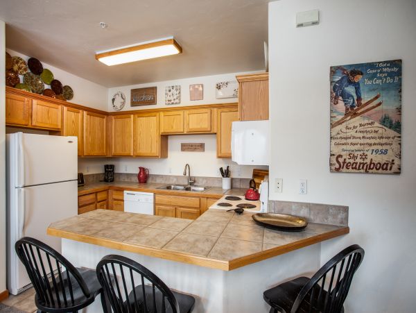 Steamboat Springs Condo 952715