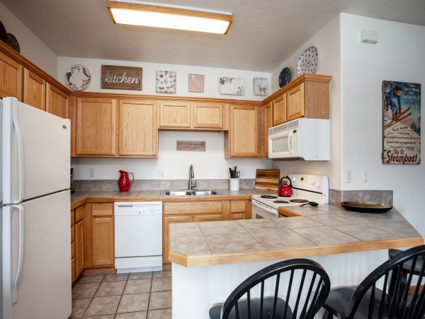 Steamboat Springs Condo 952715
