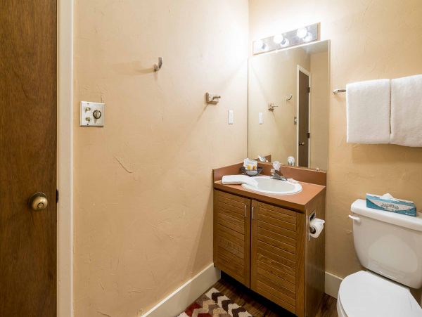 Steamboat Springs Condo 952729