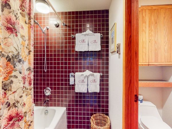 Beaver Creek Bachelor Gulch Condo 952732