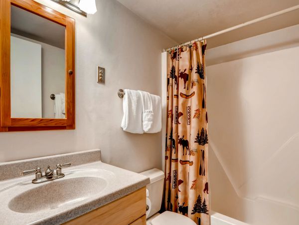 Breckenridge Condo 952743