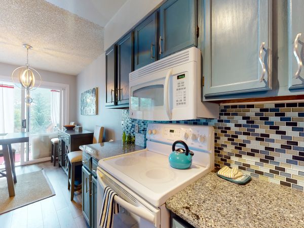 Avon Condo 952744