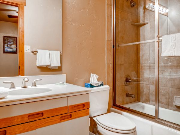 Steamboat Springs Condo 952754